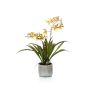 Orchidea oncidium artificiale COLUNGA in vaso di ceramica, giallo-arancione, 45cm