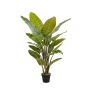 Strelitzia finta RIBERA, verde, 135cm
