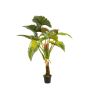 Colocasia finta SOTU, verde, 160cm
