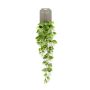 Filodendro artificiale pendente RUESCA su stelo, 90cm