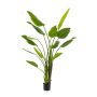 Strelitzia finta BEDAR, verde, 180cm
