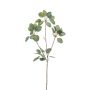 Eucalipto artificiale KRISZTOFER, verde, 90cm