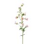 Campanula decorativa AIMI, rosa-crema, 90cm