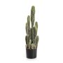 Cactus artificiale San Pedro FARIN, verde, 75 cm
