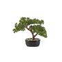 Bonsai artificiale pino KANYA in vaso, 25 cm