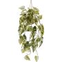 Decorazione pensile Syngonium in vaso sospeso ZULHER in cesto, verde-bianco, 80 cm