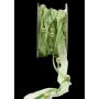 Nastro decorativo CARESA in chiffon e raso, verde, 5 m, 20 mm