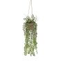 Fioriera artificiale Fico rampicante GREGORIOS in vaso decorativo, radici, verde, 90 cm