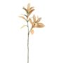 Ramo decorativo alloro BRENTA, marrone chiaro, 75 cm
