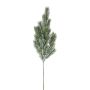 Ramo decorativo abete blu SLOVAN, ghiacciato, bianco-verde, 60 cm
