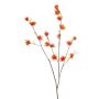 Ramo decorativo di hamamelis ZAVNER con fiori, arancione, 110 cm