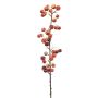 Ramo decorativo di melo ornamentale KELZAR con frutti, rosso, 85 cm