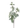 Ramo decorativo di eucalipto PLAVEN con fiori, verde, 70 cm