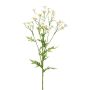 Ramo decorativo camomilla GRUHEL, bianco, 60 cm