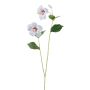Ramo decorativo ibisco SMOHLE, bianco, 110 cm