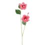 Ramo decorativo ibisco SMOHLE, corallo, 110 cm
