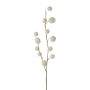 Ramo artificiale di euforbia YANIKA, con frutti, bianco, 105 cm