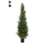 Cedro artificiale ZARGEN, crossdoor, verde, 150 cm