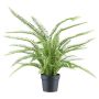 Pianta decorativa felce ZINTO, vaso decorativo, verde, 70 cm