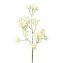 Ramo decorativo di fiori di melo YORBEN con fiori, bianco, 60 cm
