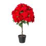 Stella di Natale in velluto DRENMA, vaso decorativo, rosso scuro, 75 cm