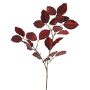 Ramo di faggio vellutato GALFHY, rosso bordeaux, 70 cm