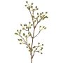 Ramo decorativo di rosa selvatica HIKERNO con bacche di rosa canina, verde, 60 cm