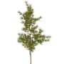Ramo artificiale di asparagus umbellatus DIKERNO, verde, 75 cm