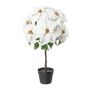Stella di Natale in velluto DRENMA, vaso decorativo, bianco, 75 cm