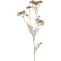 Ramo artificiale di carota selvatica GRAHEN, dorato, 85 cm