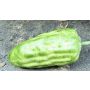 Frutta decorativa frutto del cacao FORDIHAN, verde, 13 cm