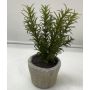 Pianta artificiale rosmarino POLINDA in vaso decorativo, verde, 26 cm