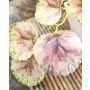 Pianta artificiale coleus WOLINDA, vaso decorativo, pendente, verde-rosa, 16 cm