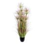 Erba decorativa Pianta di papiro DARSA in vaso decorativo, verde-rosso, 125 cm