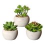 Composizione artificiale di piante grasse PLOKSA in vaso di cemento, 3 pezzi, verde, 6,5-8 cm