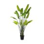 Pianta artificiale Strelitzia OMBRA, verde, 200 cm