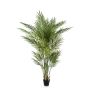 Palma Areca artificiale LUVA, 205 cm