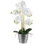 Orchidea Phalaenopsis artificiale VORDLIN, vaso in ceramica argento, radici, bianco, 60 cm