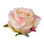 Fiore artificiale Rosa PRONK, 6 pezzi, pesca, 8,5 cm, Ø10,5 cm