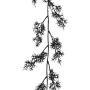 Ghirlanda artificiale di Asparagus sprengeri NAFTY, nero, 175 cm