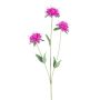 Ramo decorativo ortica VINTE, cerise, 75 cm