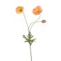 Ramo decorativo papavero SCHUNRA, pesca, 75 cm