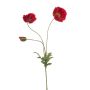 Ramo decorativo di papavero SCHUNRA, rosso, 75 cm