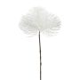 Ramo decorativo pino KLANTE, bianco, 50 cm