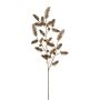 Ramo decorativo abete nobile DRIVEL con pigne, champagne, 95 cm