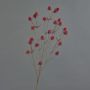 Cardo di plastica LOUKAS, rosso, 70cm, Ø1,5cm