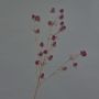 Cardo di plastica LOUKAS, bordeaux, 70cm, Ø1,5cm