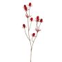 Cardo di plastica LOUKAS, rosso, 45cm, Ø1,5cm