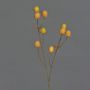 Cardo di plastica LOUKAS, giallo-arancione, 45cm, Ø1,5cm