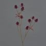 Cardo di plastica LOUKAS, bordeaux, 45cm, Ø1,5cm